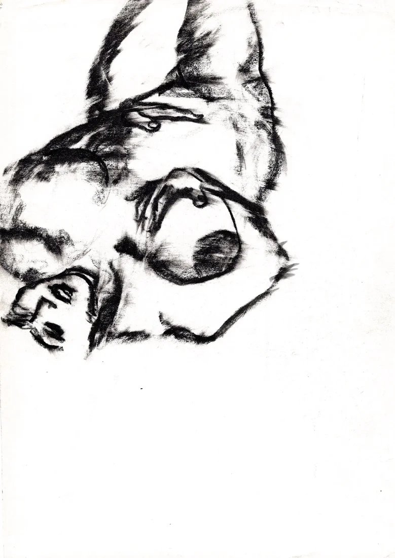 Description for Image 13